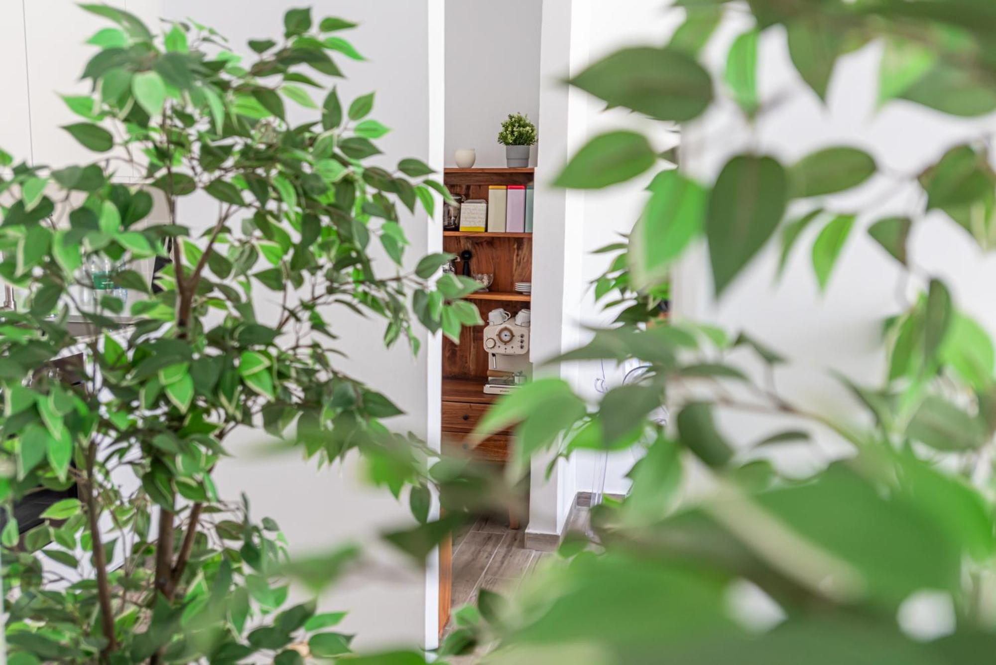 Fuerte Hygge Appartement Tarajalejo Buitenkant foto